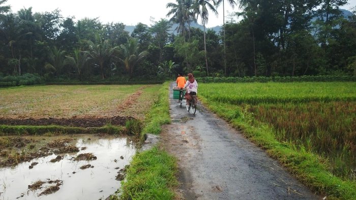 KAMPUNG HOMESTAY BOROBUDUR - Reviews, Photos