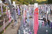 21年 杖立温泉 行く前に 見どころをチェック トリップアドバイザー 21年 杖立温泉 行く前に 見どころをチェック トリップアドバイザー