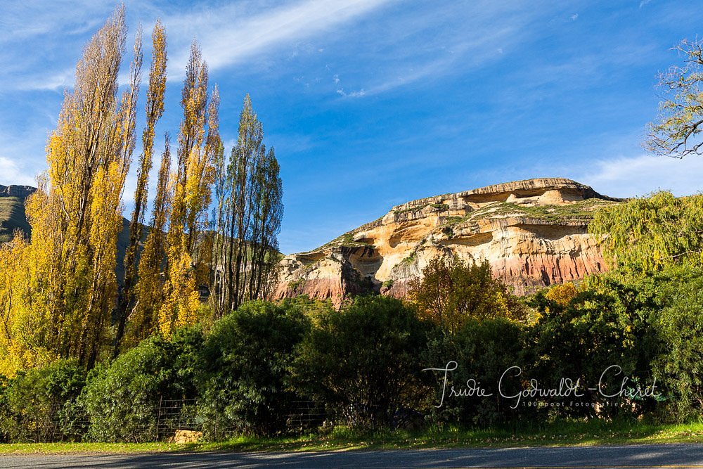GOLDEN GATE HIGHLANDS NATIONAL PARK (Clarens) - All You Need to Know BEFORE  You Go