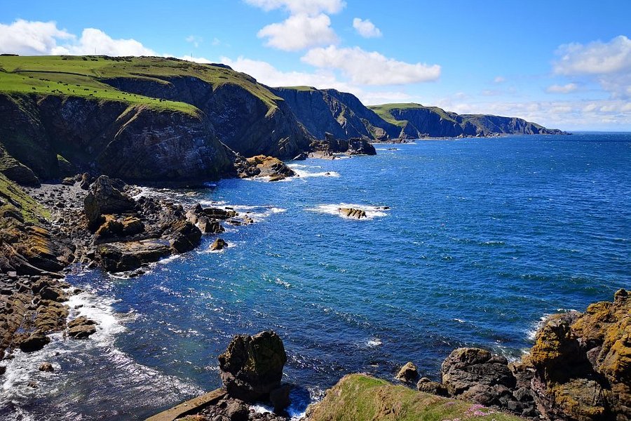 St Abbs Head National Nature Reserve image