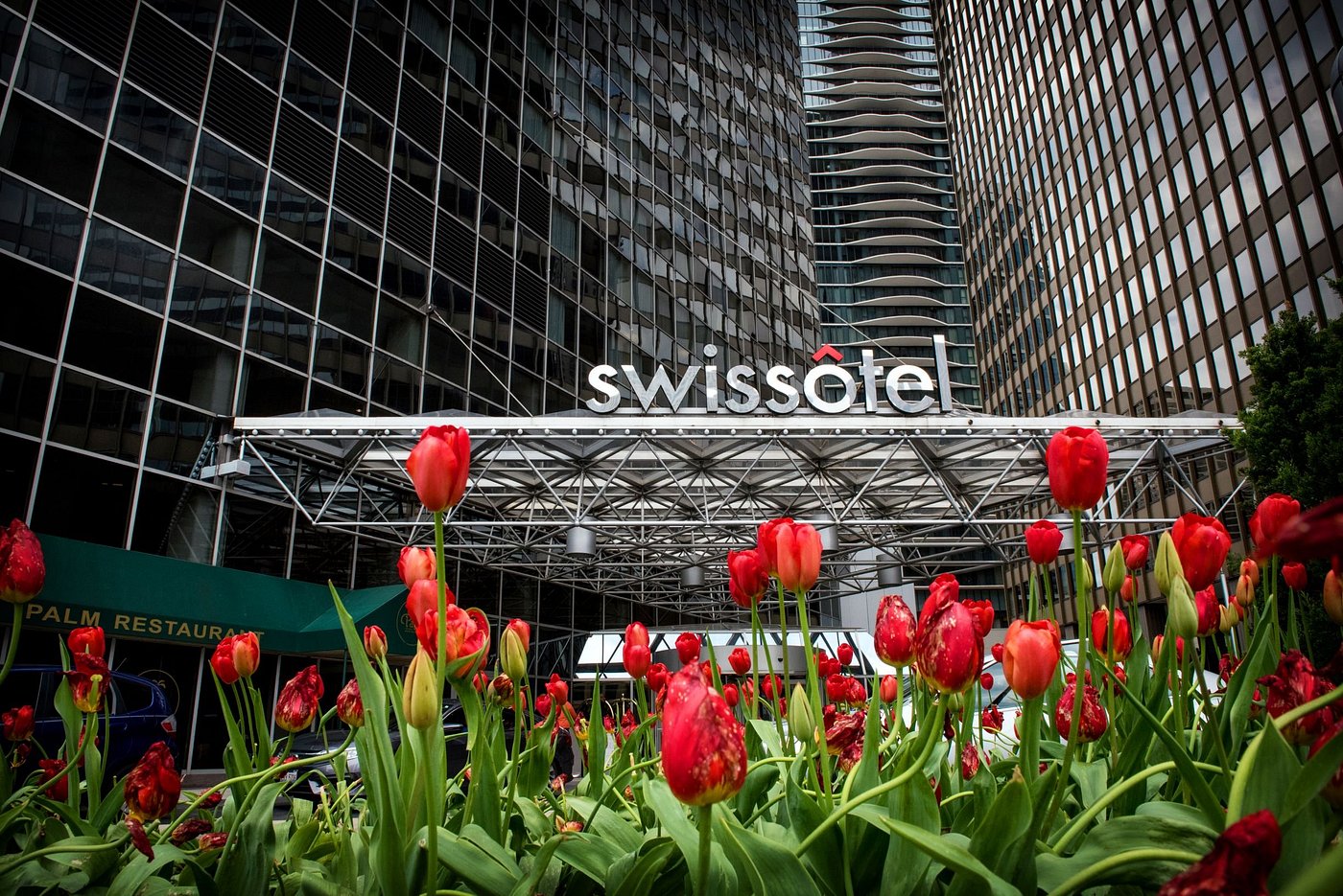 SWISSOTEL CHICAGO Updated 2024 Reviews (IL)