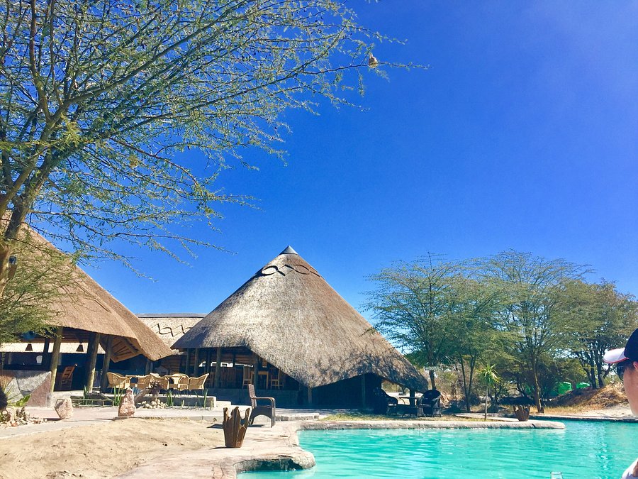 Pelican Lodge And Camping Prices And Reviews Nata Botswana Tripadvisor