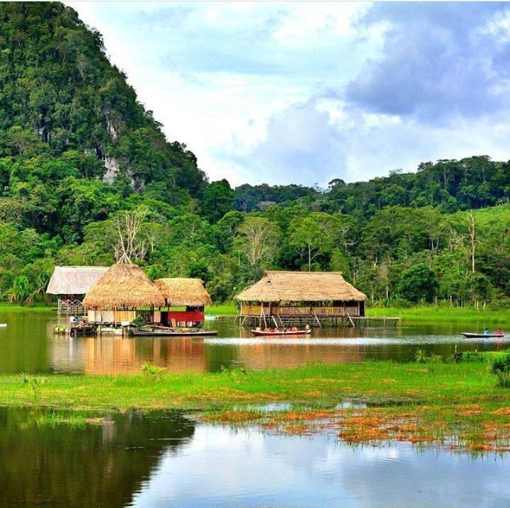 Laguna De Los Milagros (tingo Maria) - Atualizado 2021 O Que Saber 