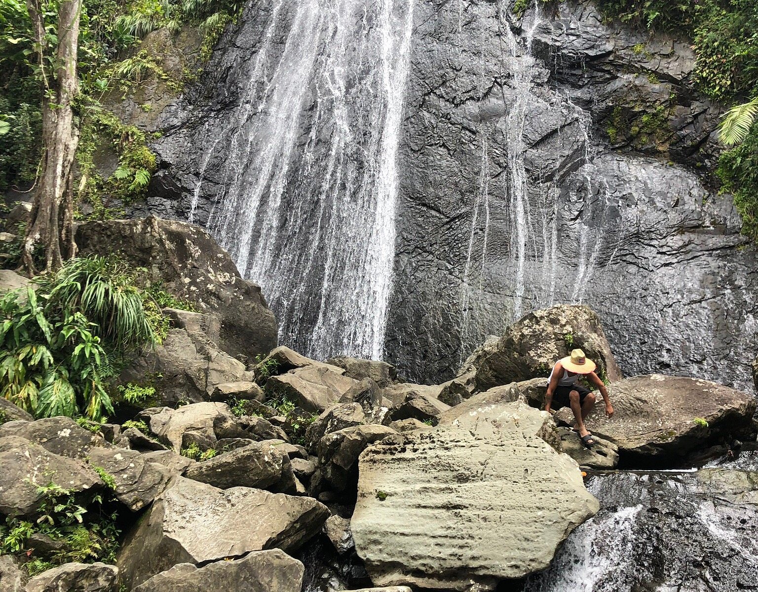 yunque national forest tours