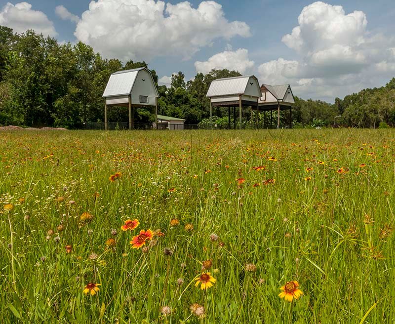 university-of-florida-bat-house-gainesville-all-you-need-to-know-before-you-go