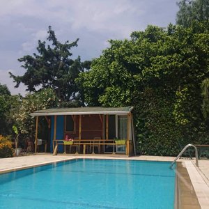 Room with pool view