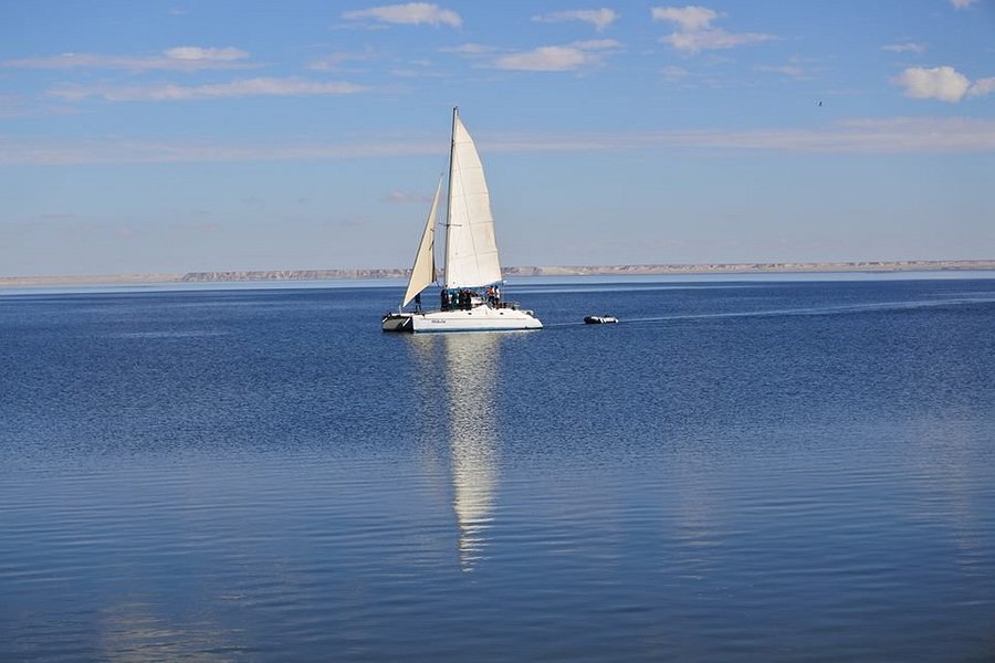 Sahara Sailing image