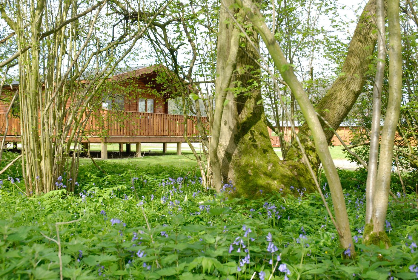 SOUTH WINCHESTER LODGES - Prices & Lodge Reviews (England)