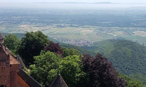 Our view from Haut-Koenigsbourg castle. You can see the beautiful forest you ride through.