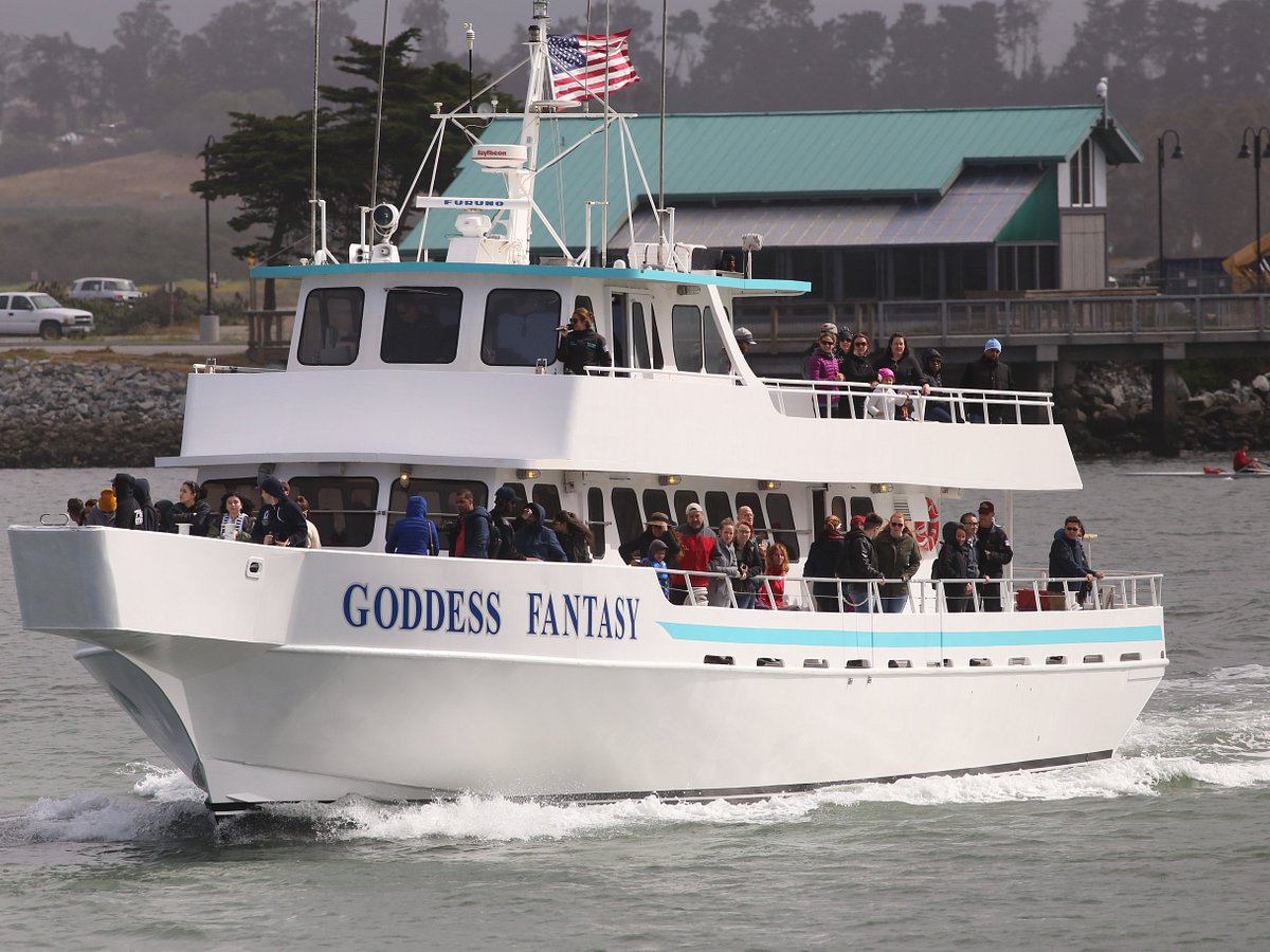 sea goddess cruises
