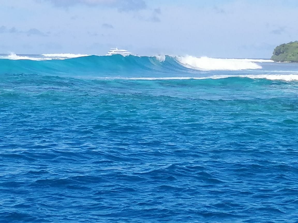 Китайские Мальдивы. Мдя.. - отзыв о Medhufushi Island Resort, Medhufushi  Island - Tripadvisor