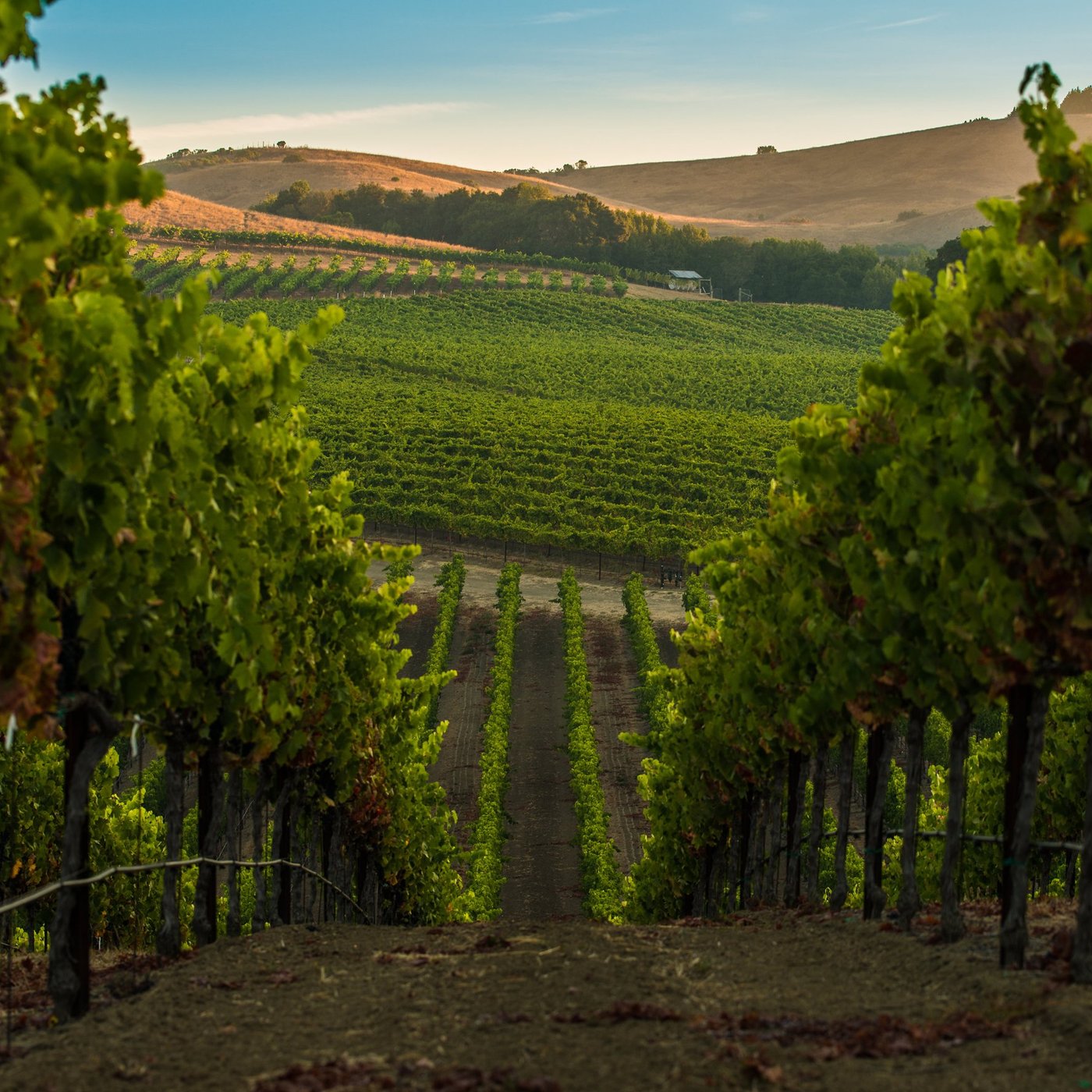 Napa Valley: All You Must Know Before You Go (2024) - Tripadvisor