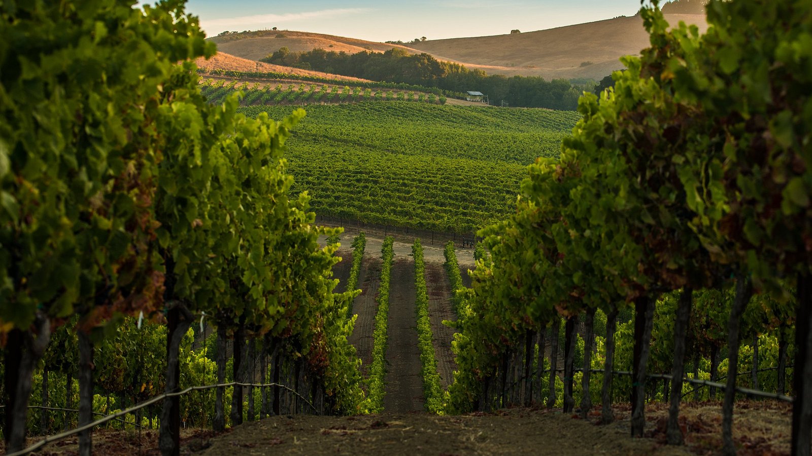 THE 10 BEST Hotels in Napa Valley, CA for 2023 (from $137) - Tripadvisor