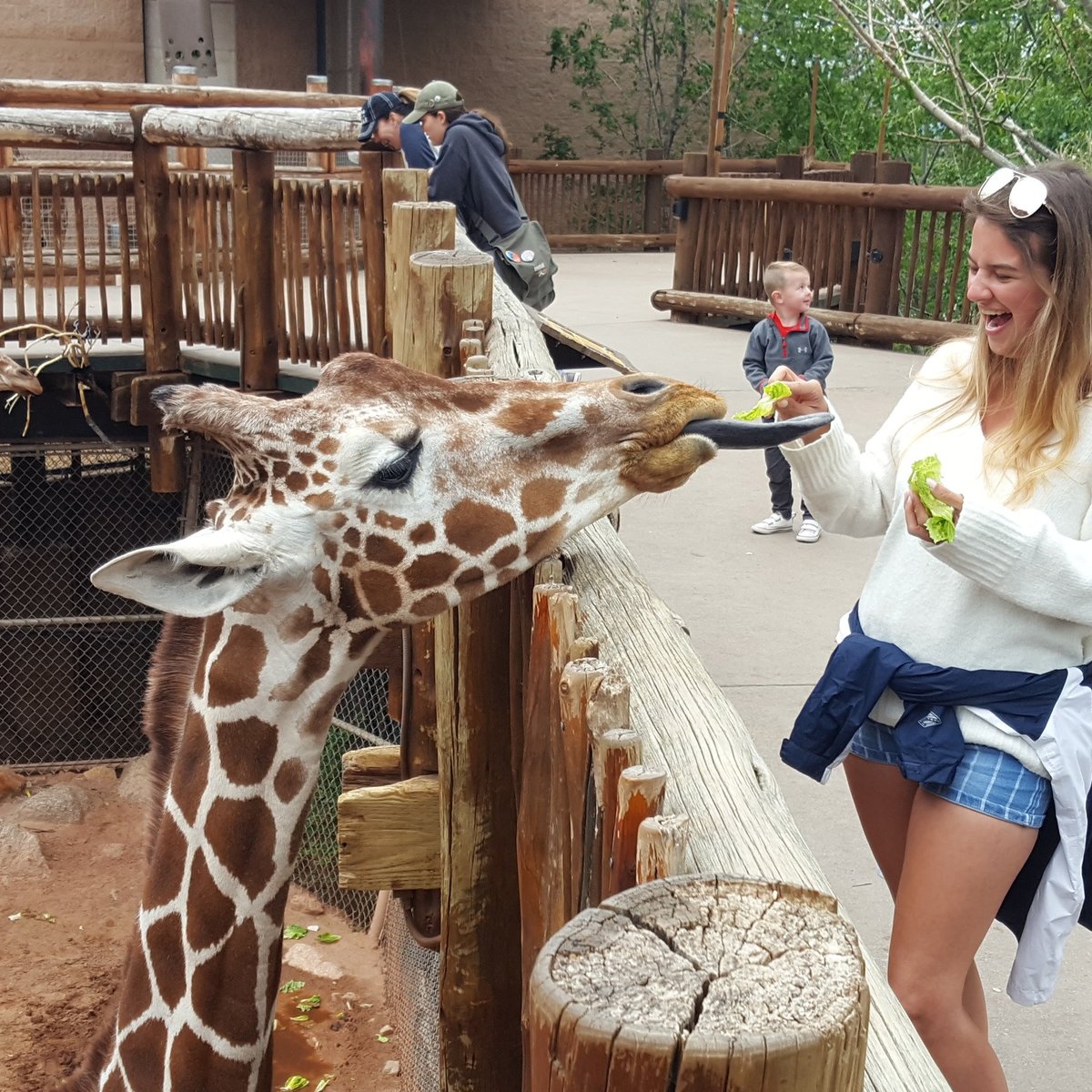 CHEYENNE MOUNTAIN ZOO (Colorado Springs) Tutto quello che c'è da sapere