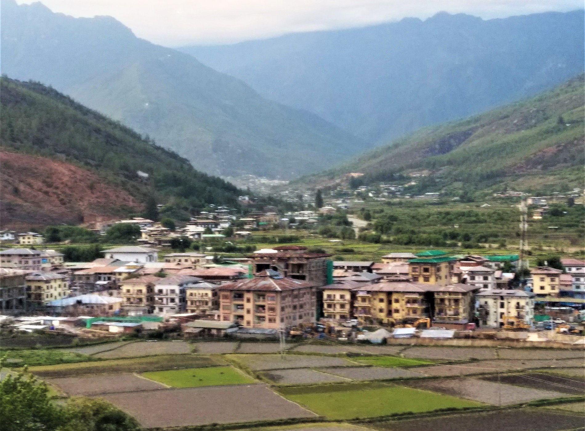 Gangtey Palace, Paro by null