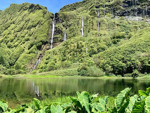 THE 15 BEST Things to Do in Flores - 2023 (with Photos) - Tripadvisor