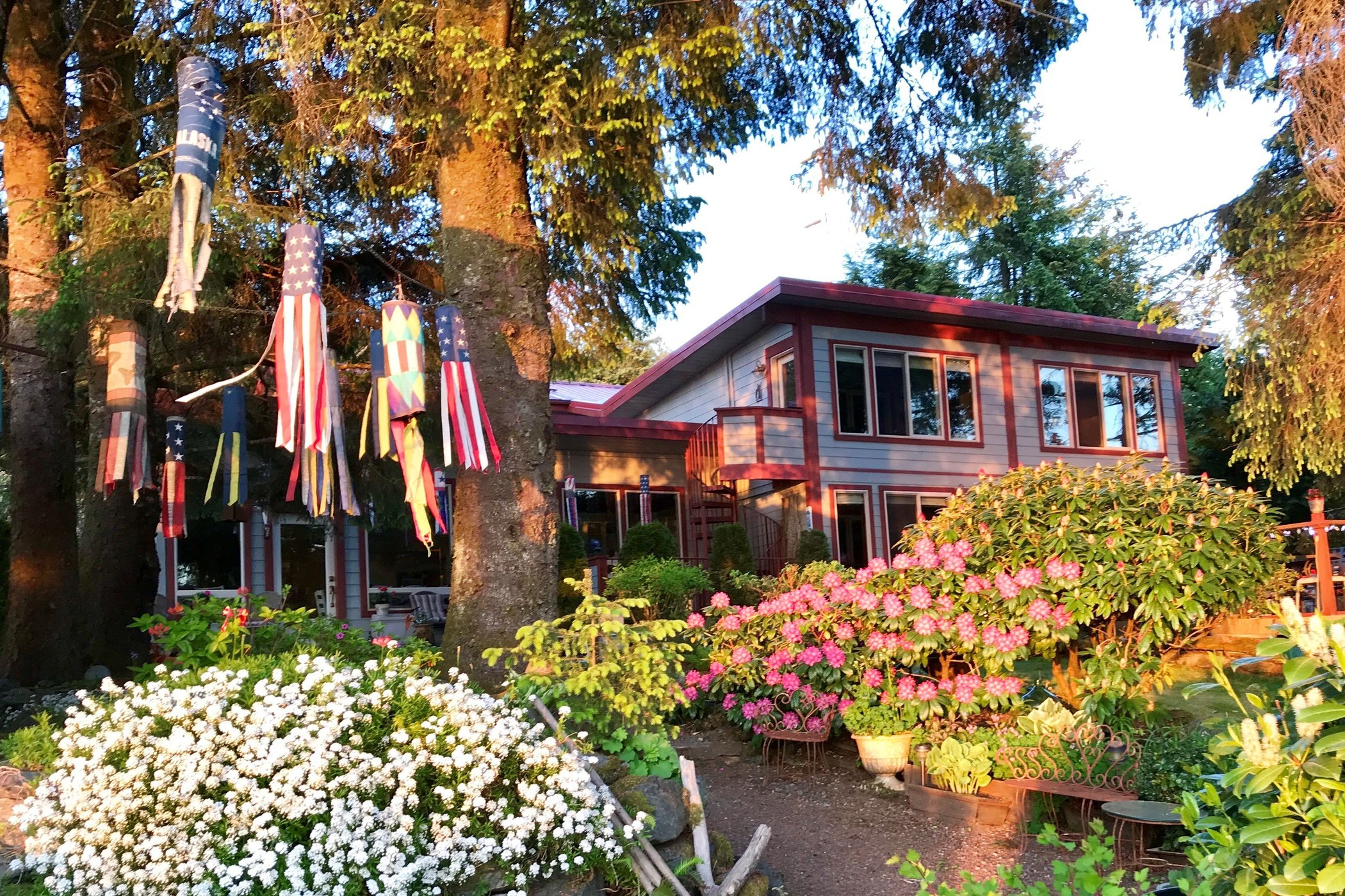 Black Bear Inn by null