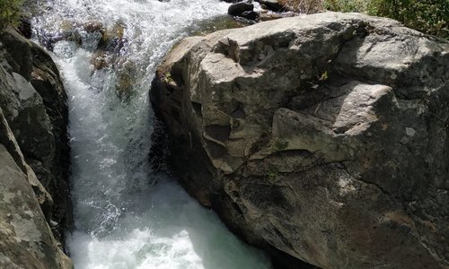 Ti sei mai chiesto cosa si prova a trascorrere un giornata totalmente coccolati dalla Natura? Senza stress, senza Wi-Fi, senza pensieri...
Prenota con noi la tua escursione, ti faremo scoprire questa magnifica sensazione!