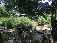 austin nature and science center homeschool classes
