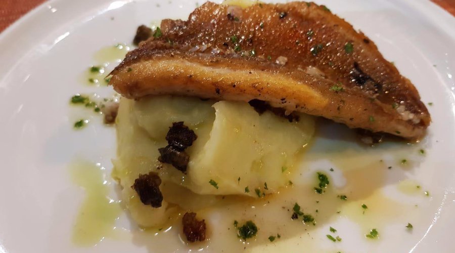 Crispy skin pan fried snapper filet. Served with duo mash carrot and cauliflower, capers and lemon butter