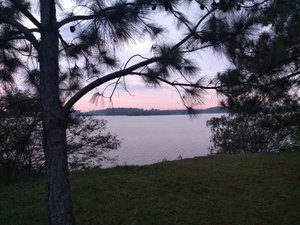 Viajante