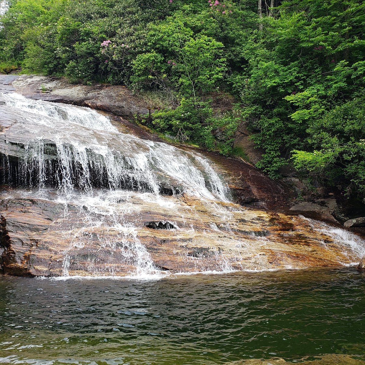 Graveyard Fields Hike & Waterfalls (Canton) - All You Need to Know ...