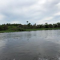 Amazon River (Brazil) - All You Need to Know BEFORE You Go