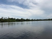 View the “Meeting of the Waters” in Santarem, Brazil - Princess Cruises