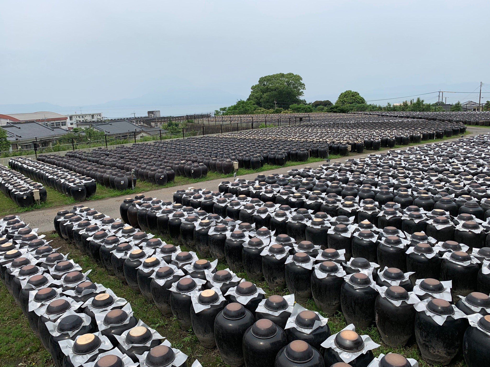 Turismo E Viagem Para Yoron-jima 2023 - Férias Em Yoron-jima - Tripadvisor