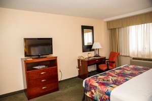 Room & Suite