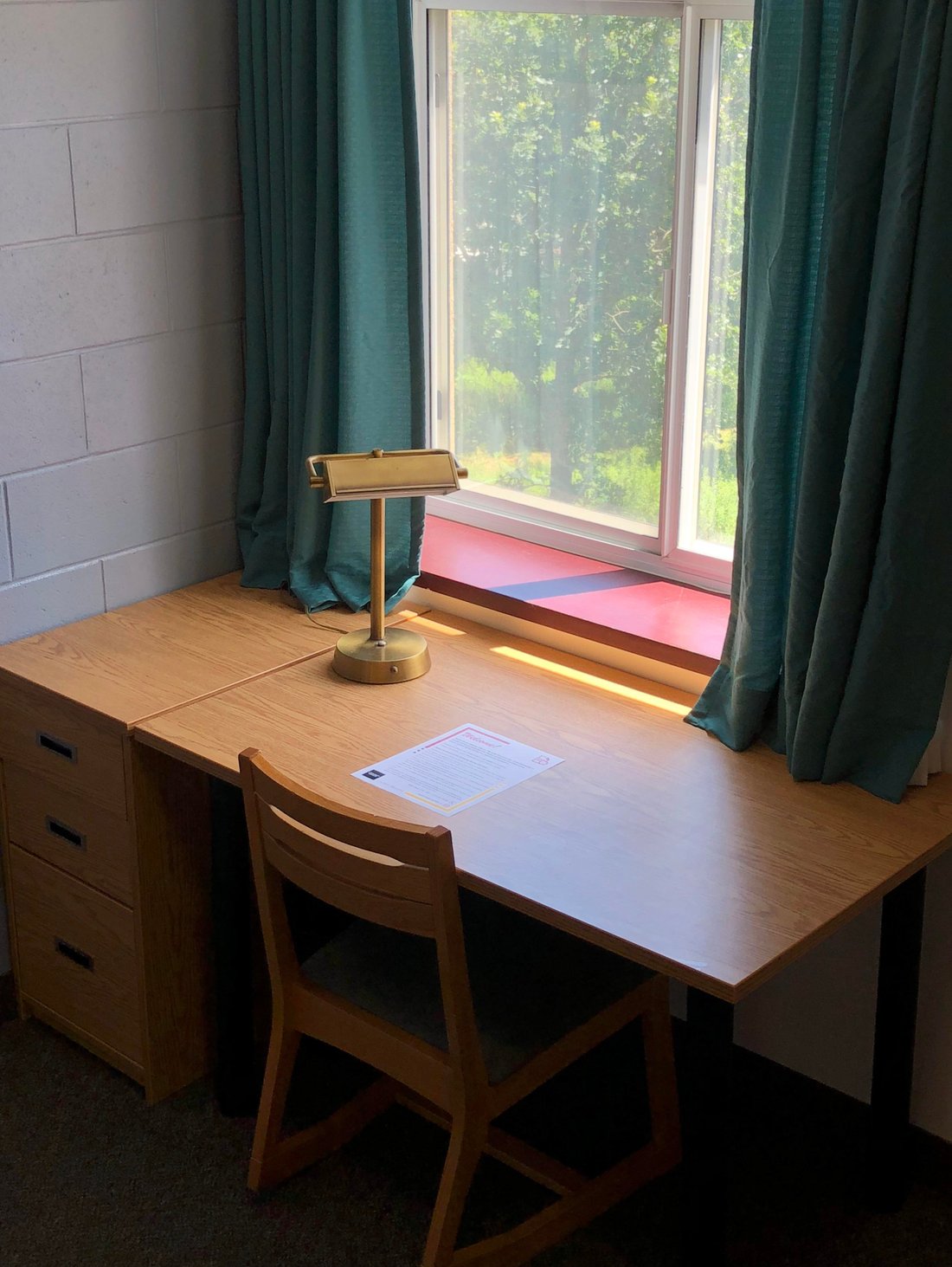 UNIVERSITY OF GUELPH SUMMER HOSTEL Prezzi e Recensioni 2024