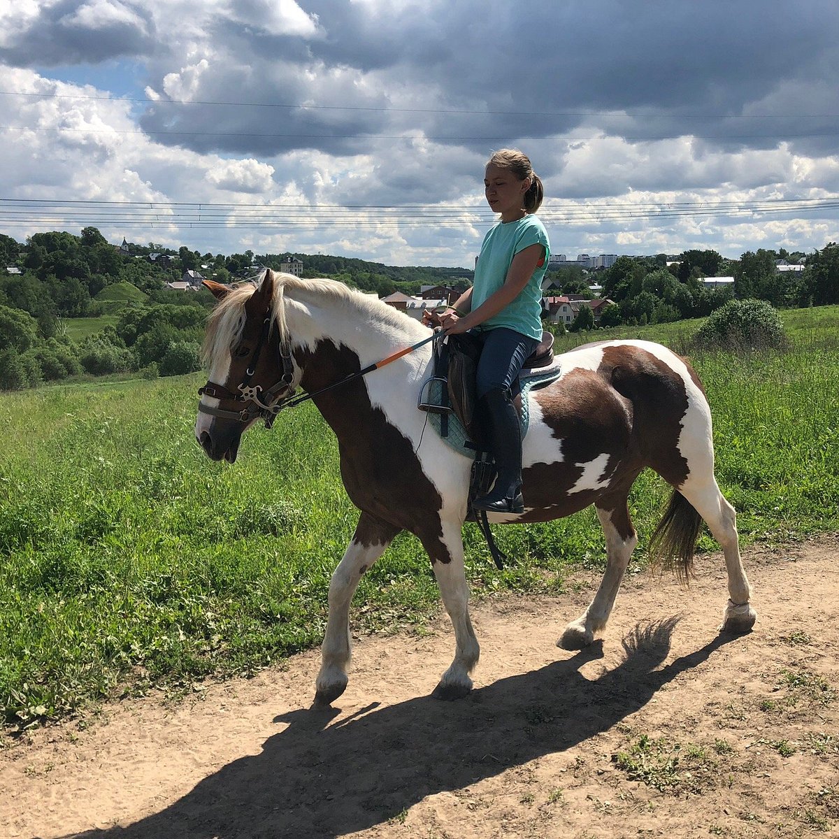 Конный клуб Ромашково. Ромашково конный клуб Москва. КСК Ромашково. Horse riding Club.