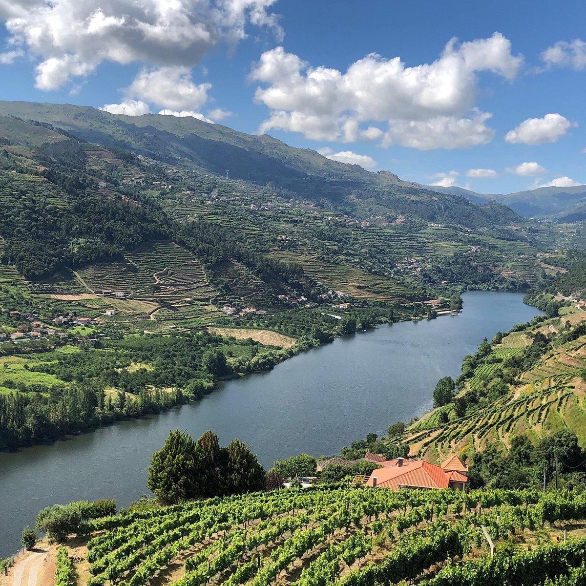 The Douro Valley - All You Know Go BEFORE You Photos) (with Need to