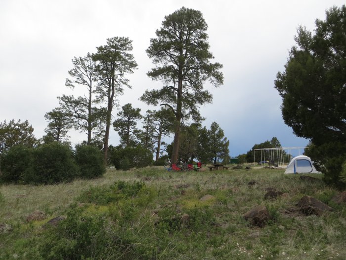 Escape to the Pines: Arizona's Forked Pine Campground Awaits