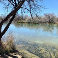 Wilson Springs Ponds - All You Need to Know BEFORE You Go (2024)