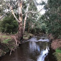 Blue Rock Dam (Willow Grove): All You Need to Know