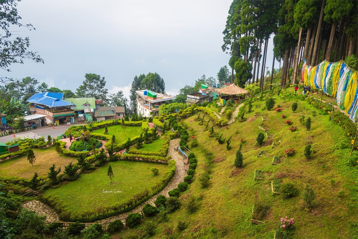 Darjeeling for Cancer Patient