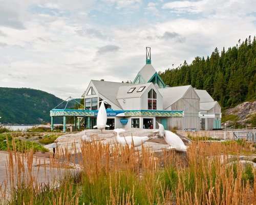 Le Centre d'interprétation des mammifères marins est bordé d'un jardin composé de plantes indigènes de la Côte-Nord