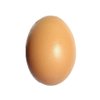 GeorgeG