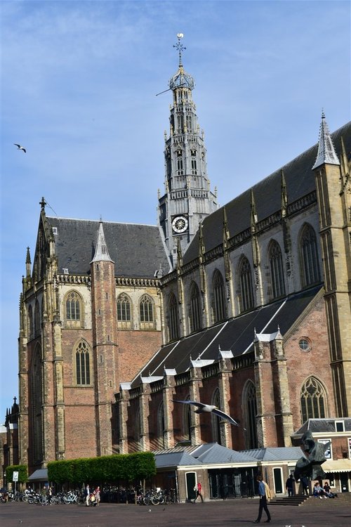 Haarlem Good_Partner review images