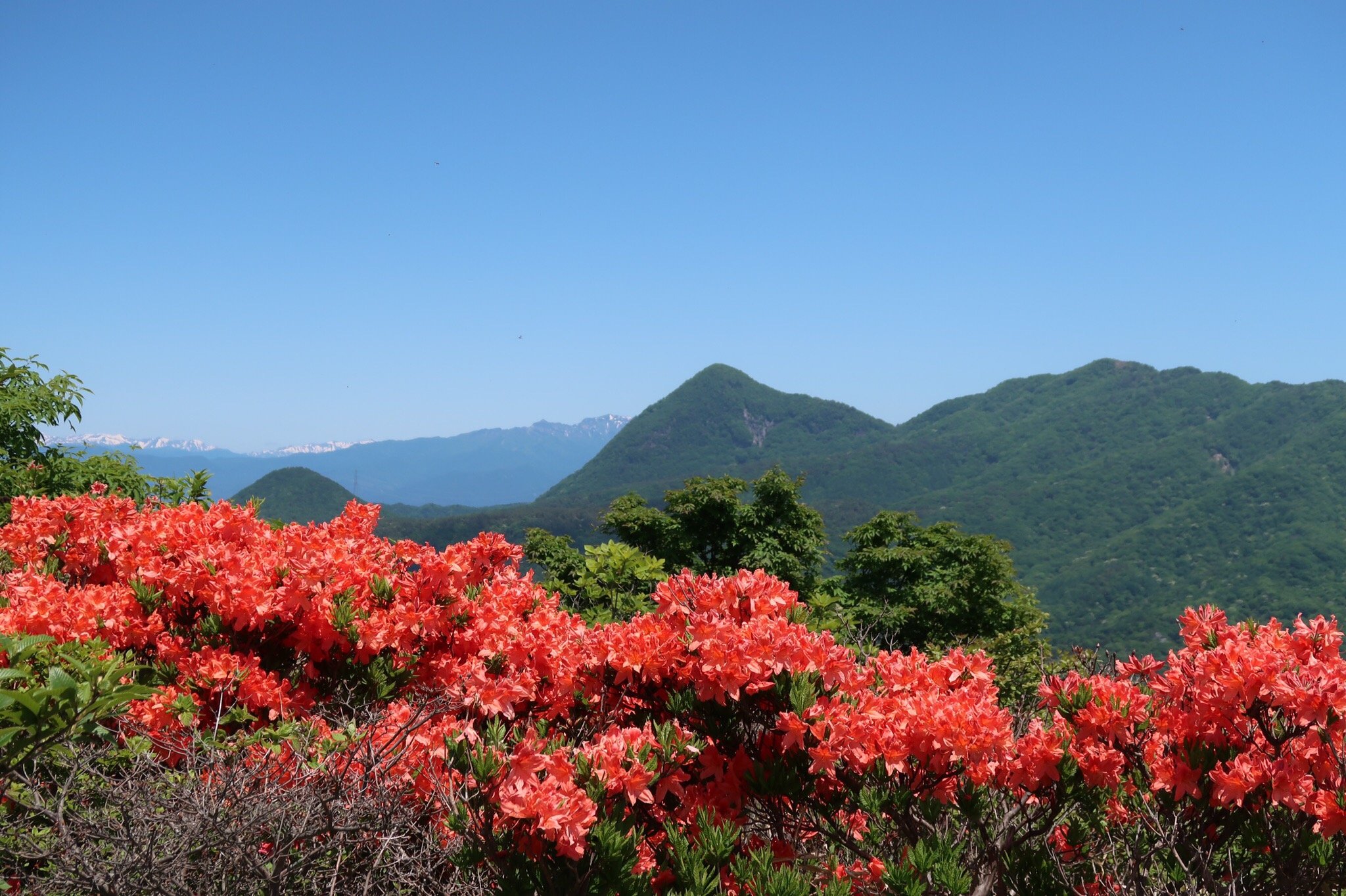 2023年 鍋割山 - 行く前に！見どころをチェック - トリップアドバイザー