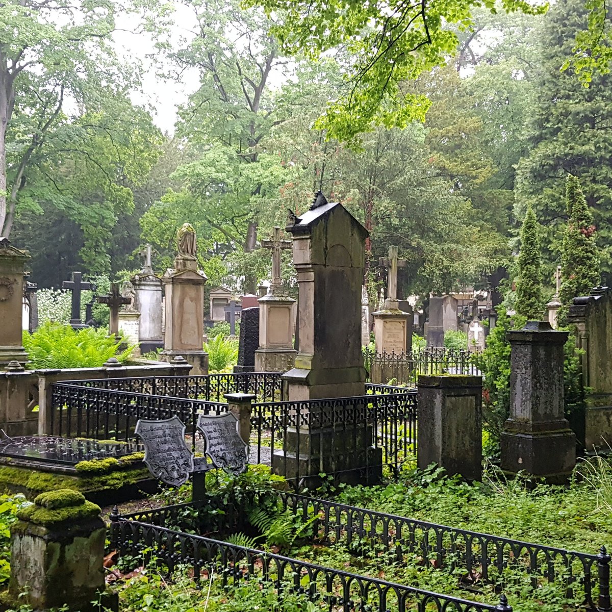 Alter Friedhof, Бонн: лучшие советы перед посещением - Tripadvisor