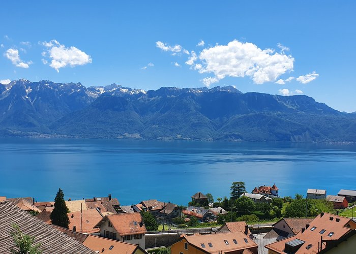 Nice view from Chexbres in Switzerland 🇨🇭 ! Belle vue depuis le Lavaux à Chexbres en Suisse ! Che bel paesaggio in Chexbres vediamo ! Schöne Aussicht in Chexbres !