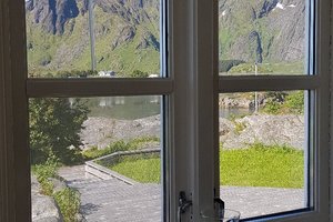 Utsikt från rummet