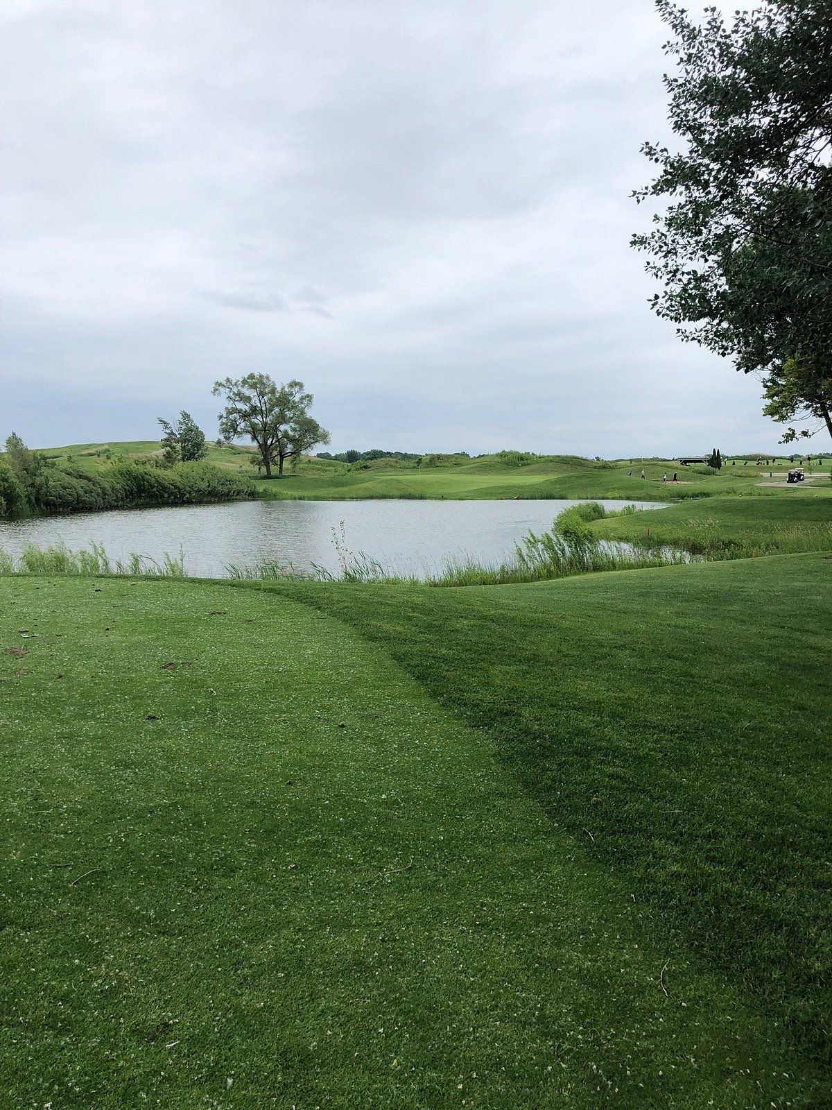 Sanctuary Lake Golf Course (Troy) All You Need to Know BEFORE You Go