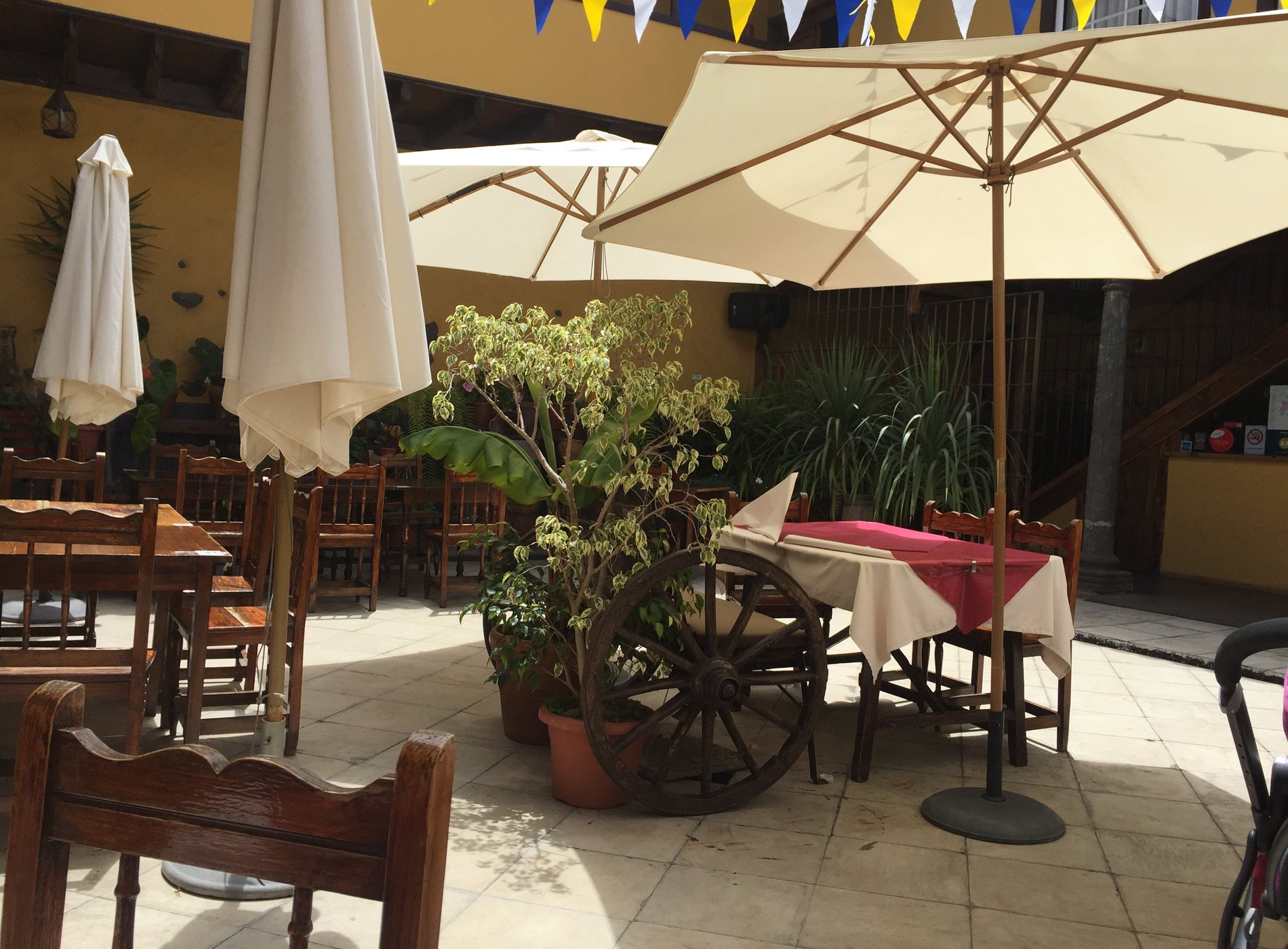 Sabor Canario. Hotel Rural Orotava. by null