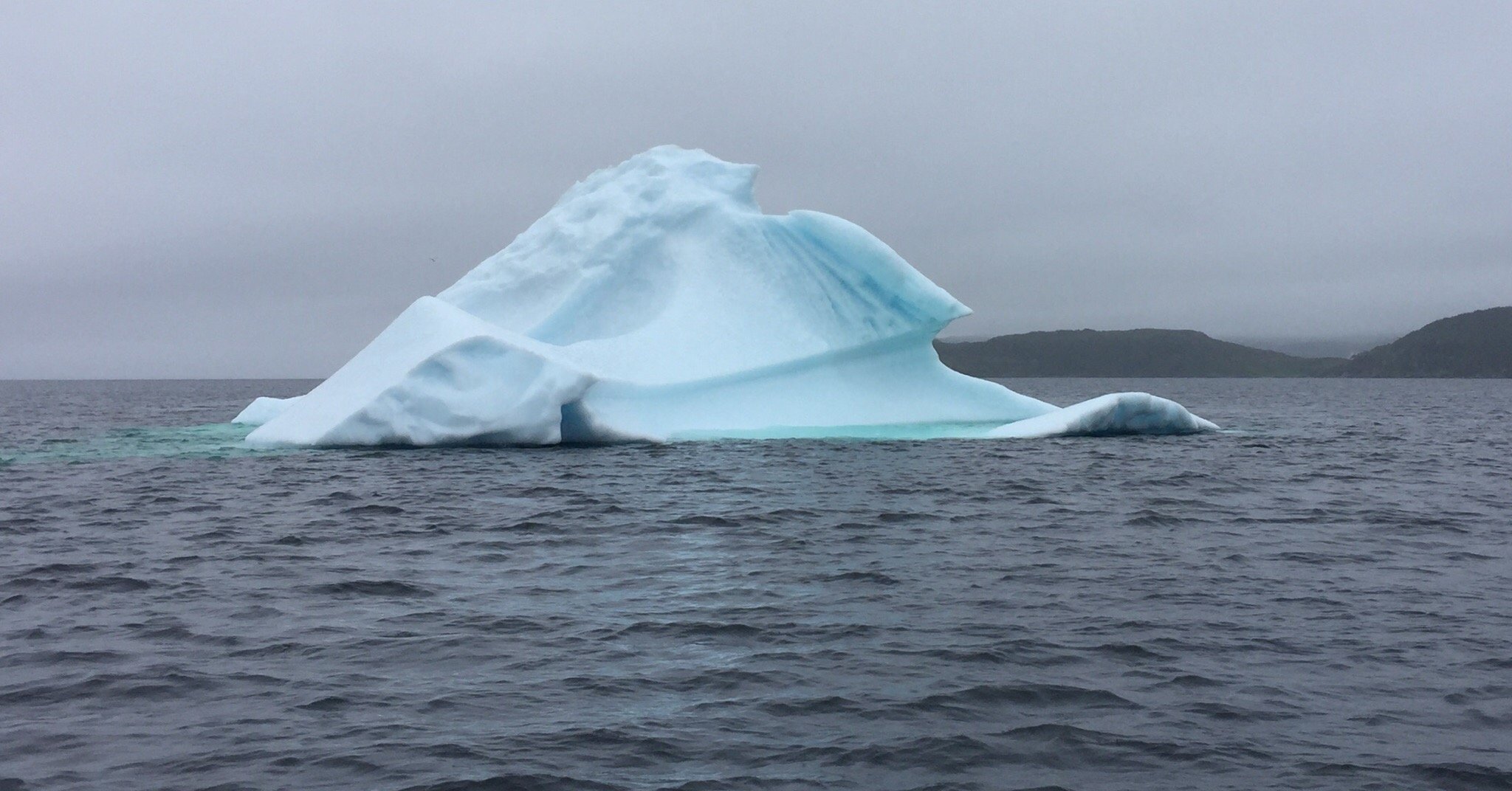 ICEBERG ALLEY BOAT TOURS St Anthony 2023 What To Know BEFORE You Go   Photo0jpg 