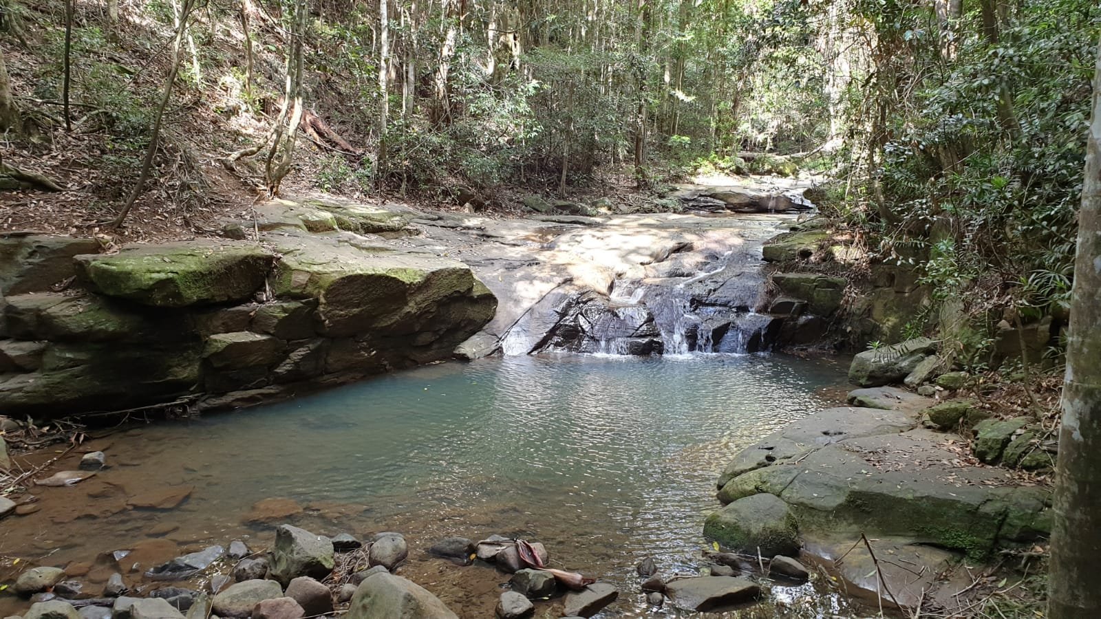 THE 15 BEST Things To Do In Buderim (2024) - Must-See Attractions