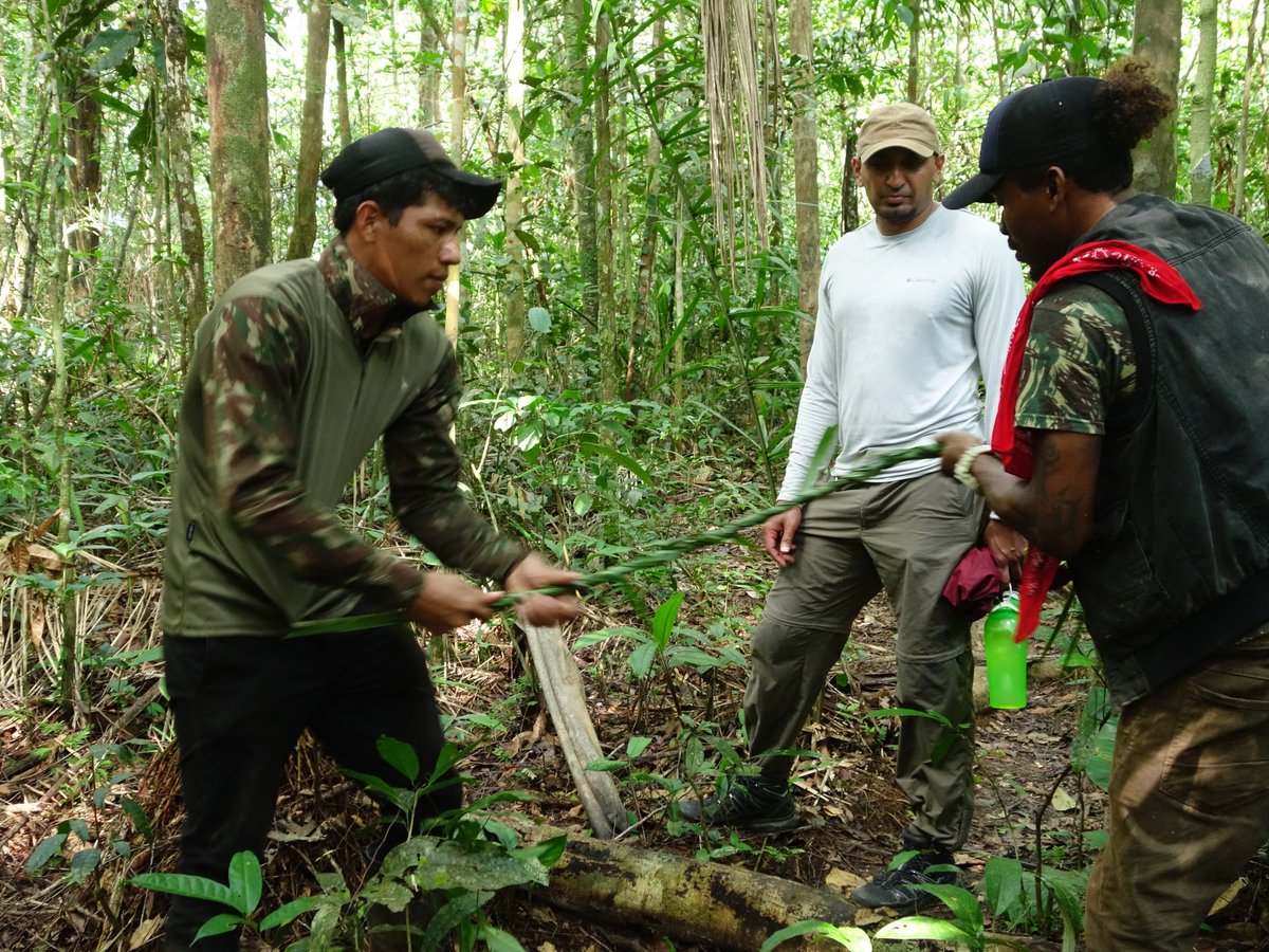 Jaguar Amazon Tours (Manaus) - All You Need to Know BEFORE You Go