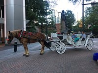 Horse Drawn Carriages for Funerals – Southern Breezes Carriages